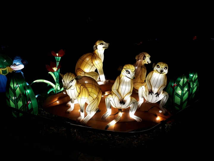 Lichterweld