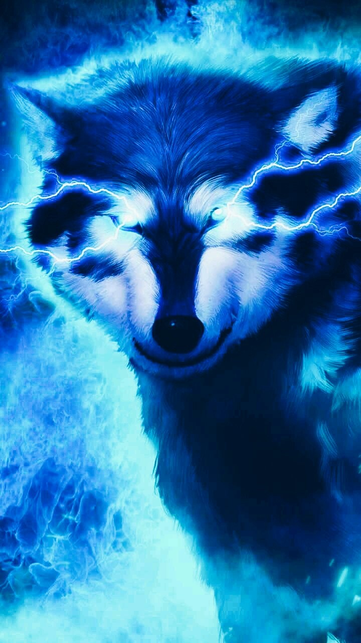 Wolf  