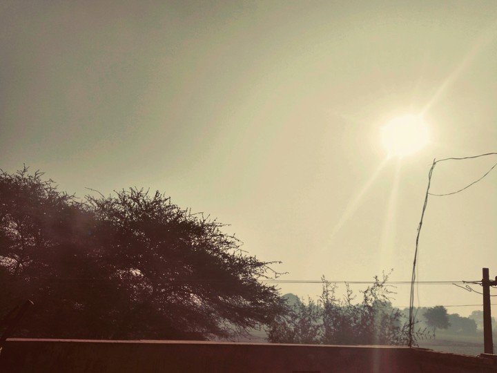 morning