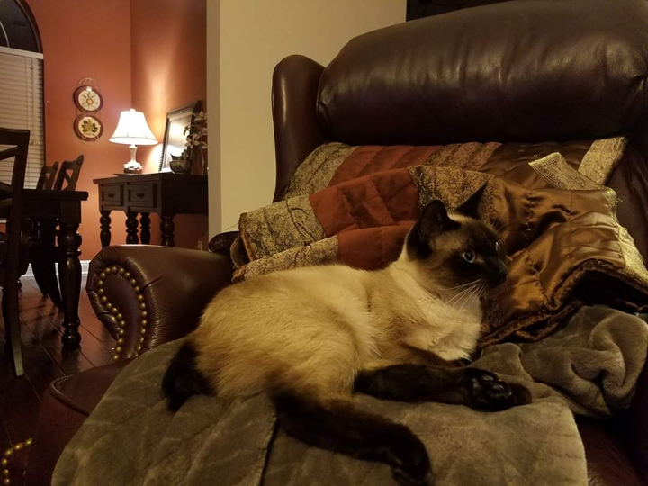 In the lap of luxury