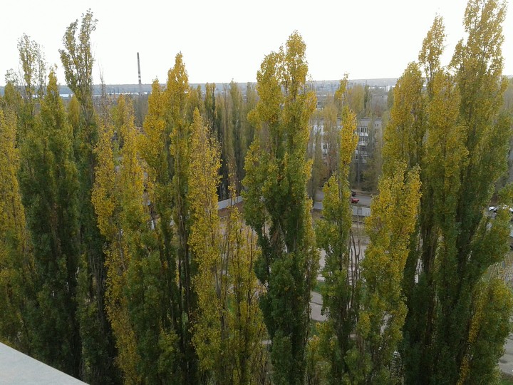 Осень