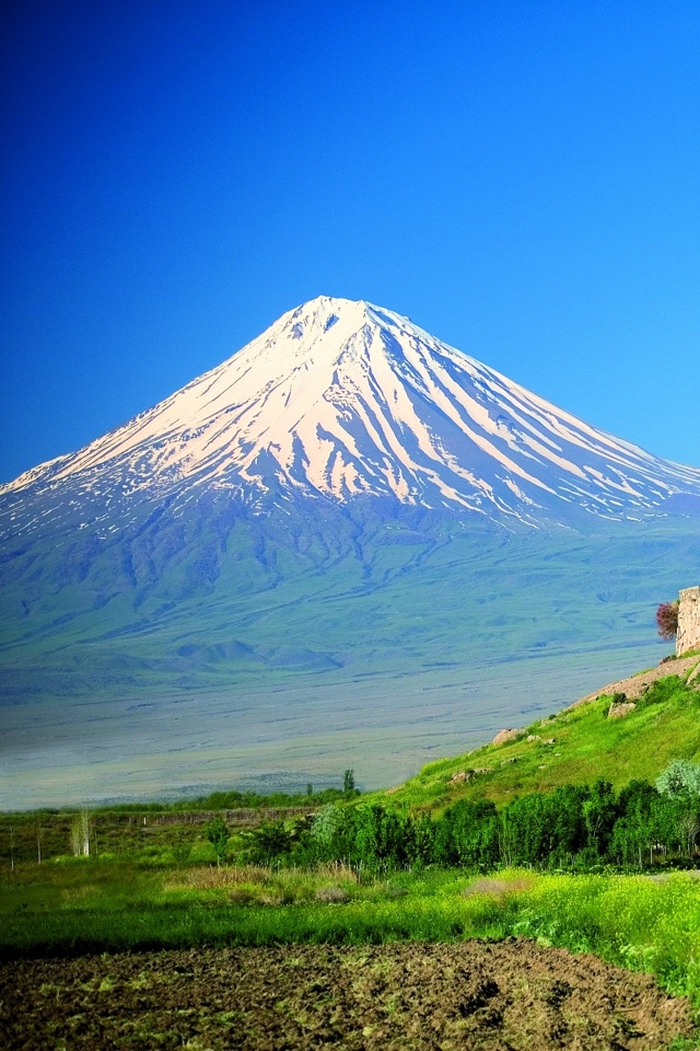АРАРАТ