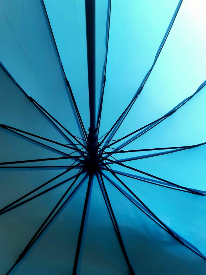 umbrella