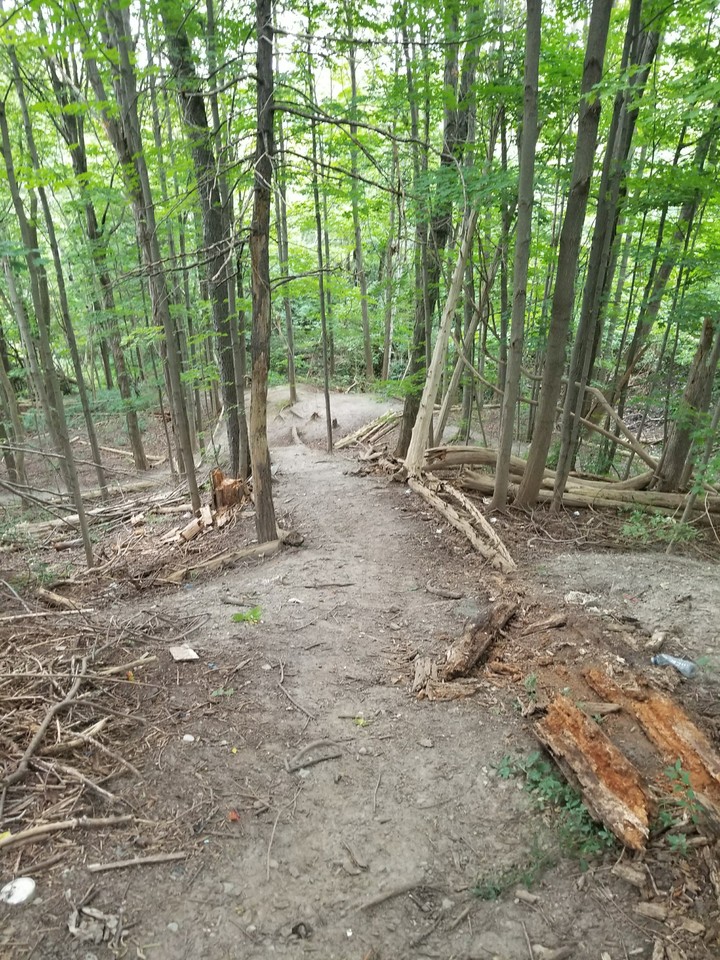 nature trail