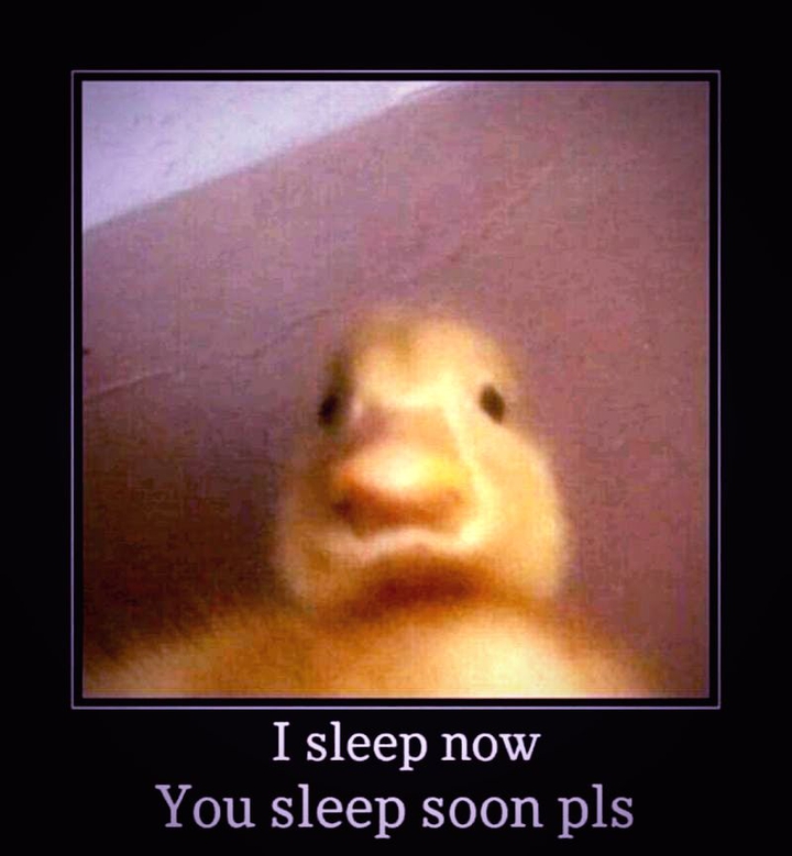 Sleep