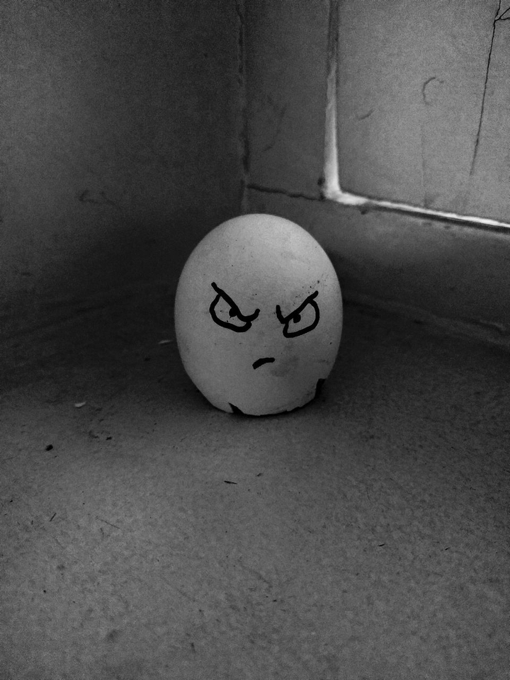 egg