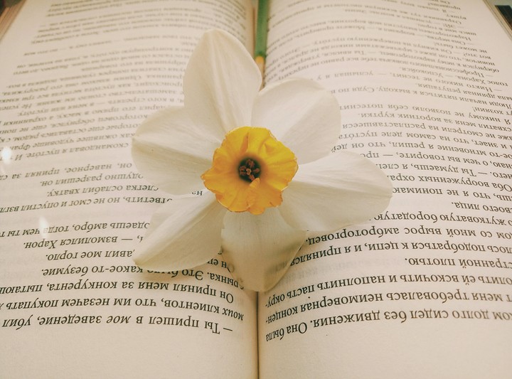 spring