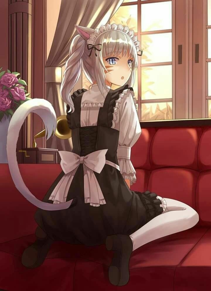 猫メイド