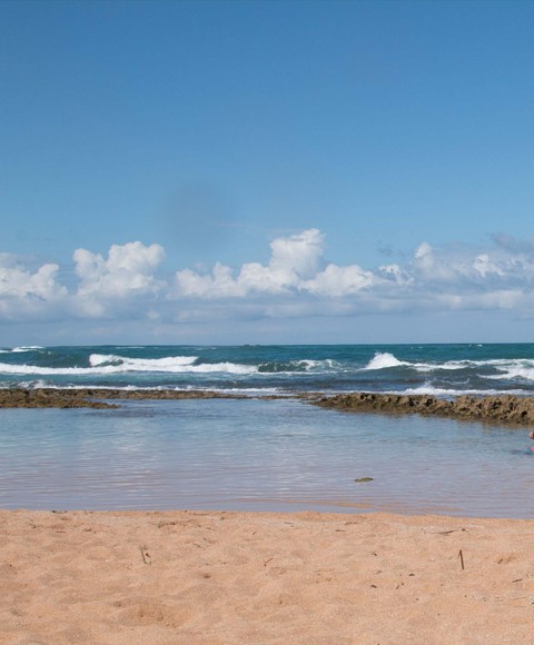 Beach Paradise