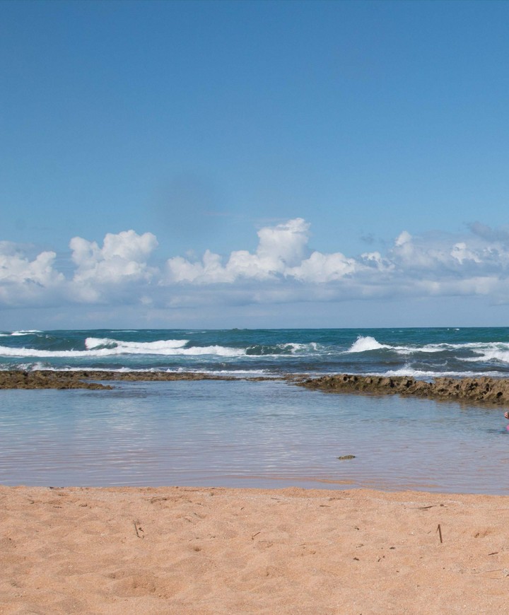 Beach Paradise