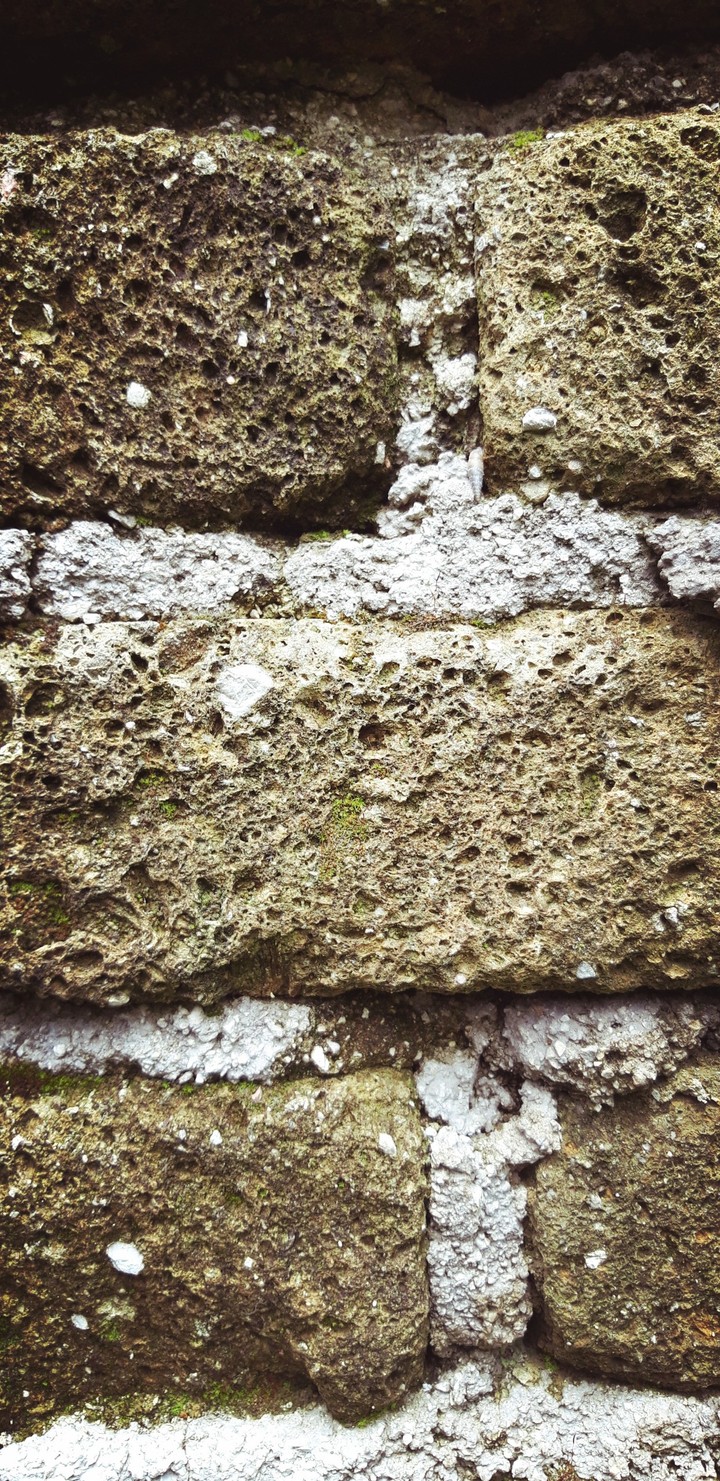Ancient wall