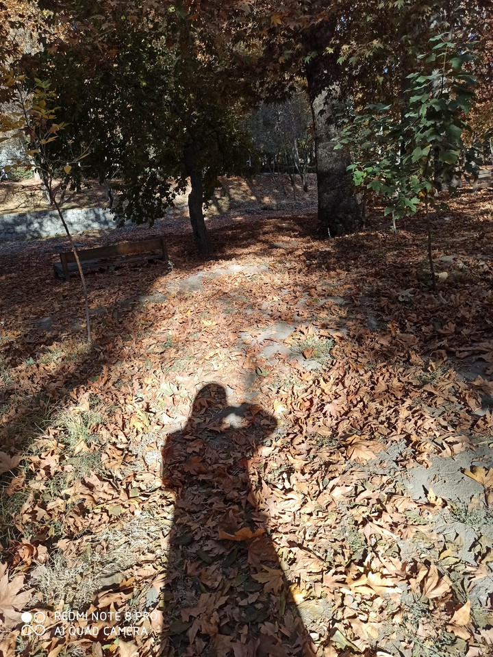 #fall