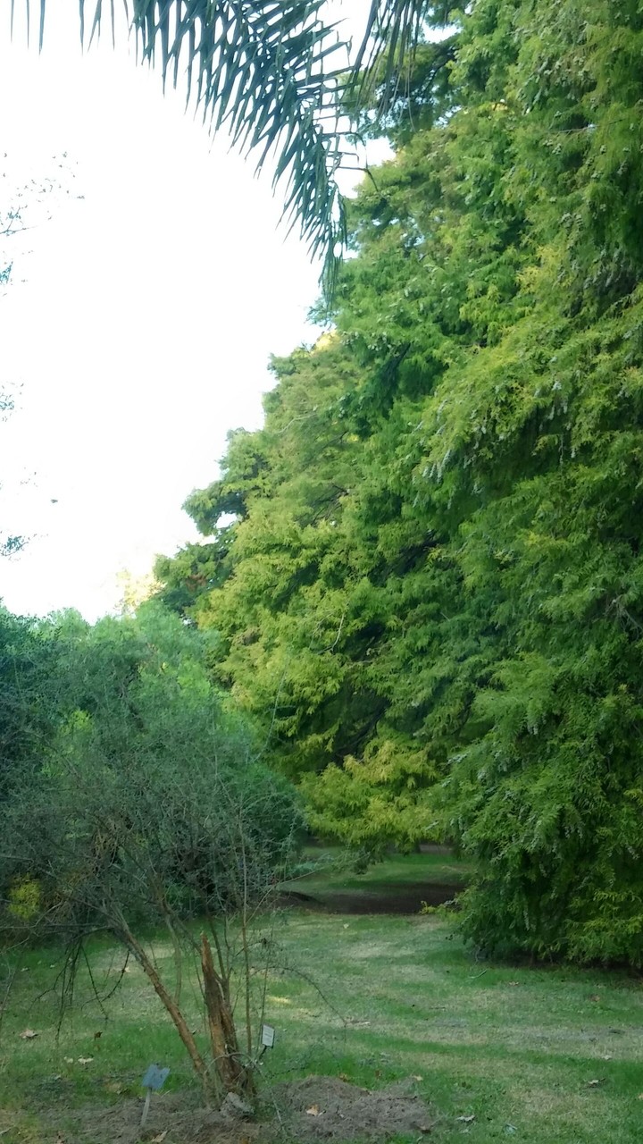 El Prado de Montevideo
