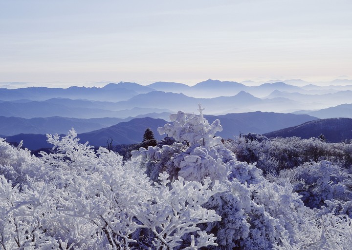 산의사계