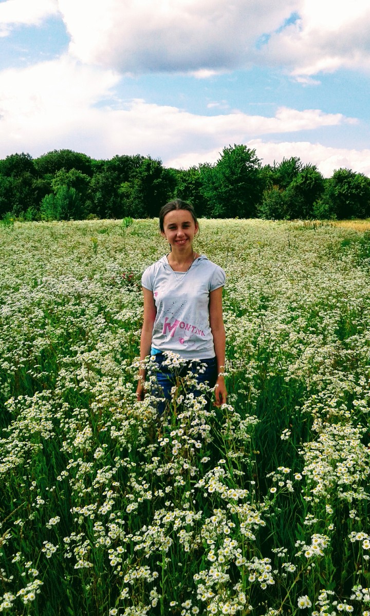 field