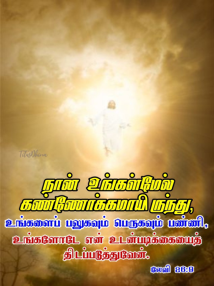 God's promise