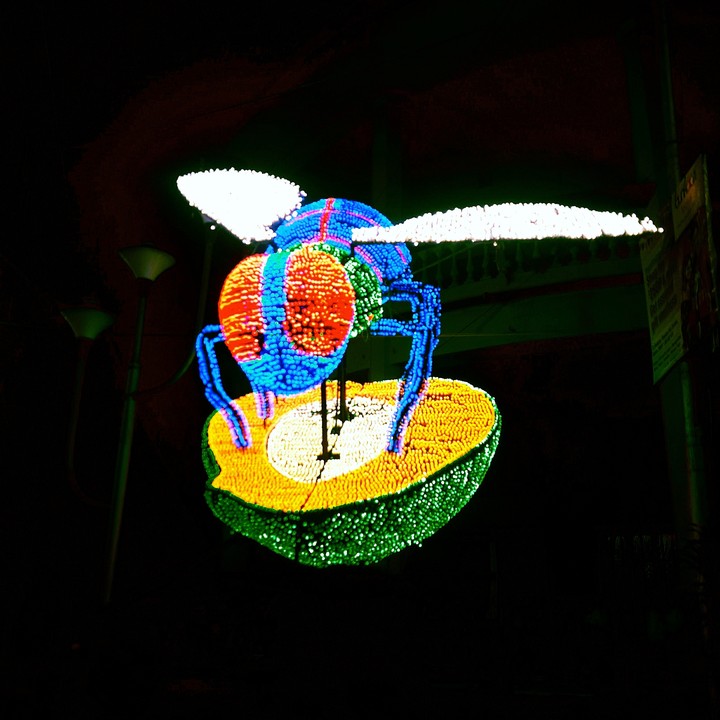 light fly electric neon festival