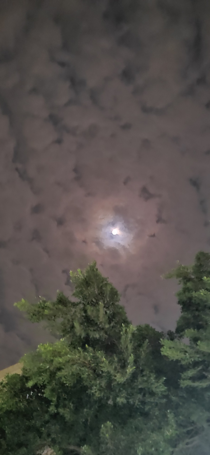 shot on rm3pro