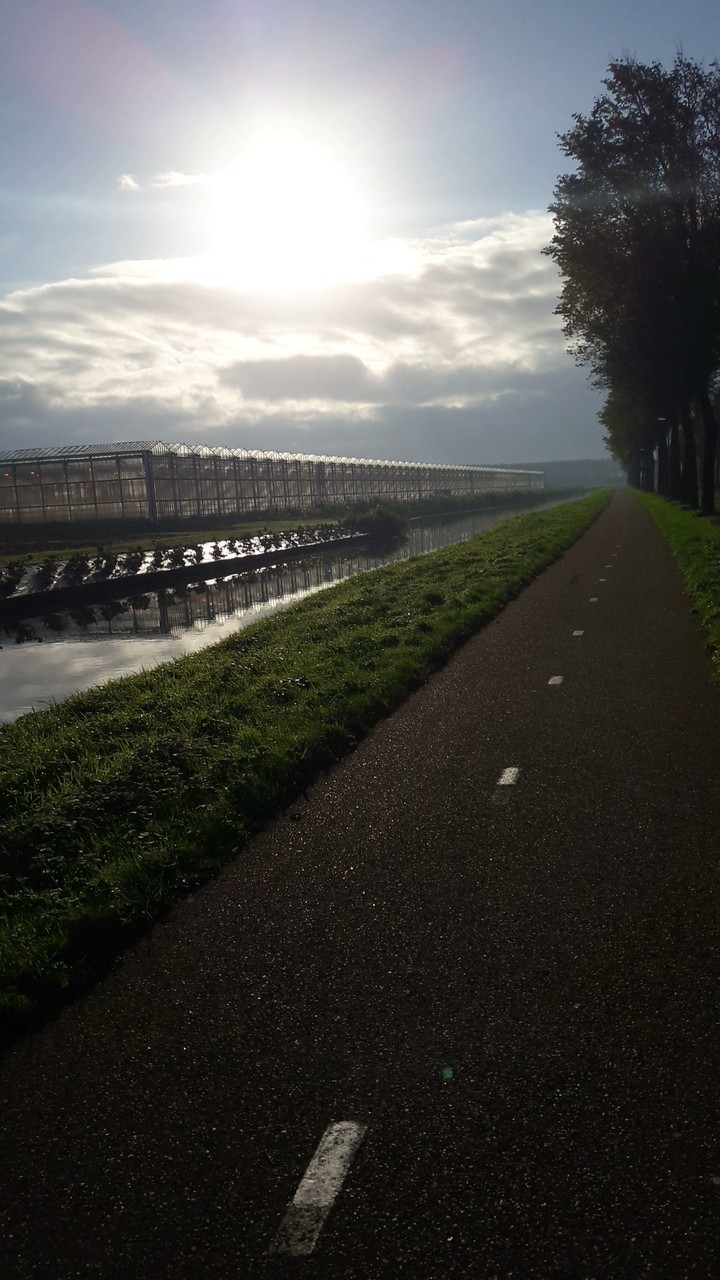 Sunshine