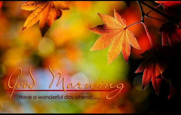 good morning