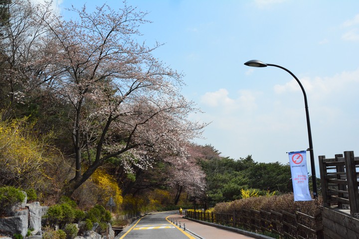 남산이미지