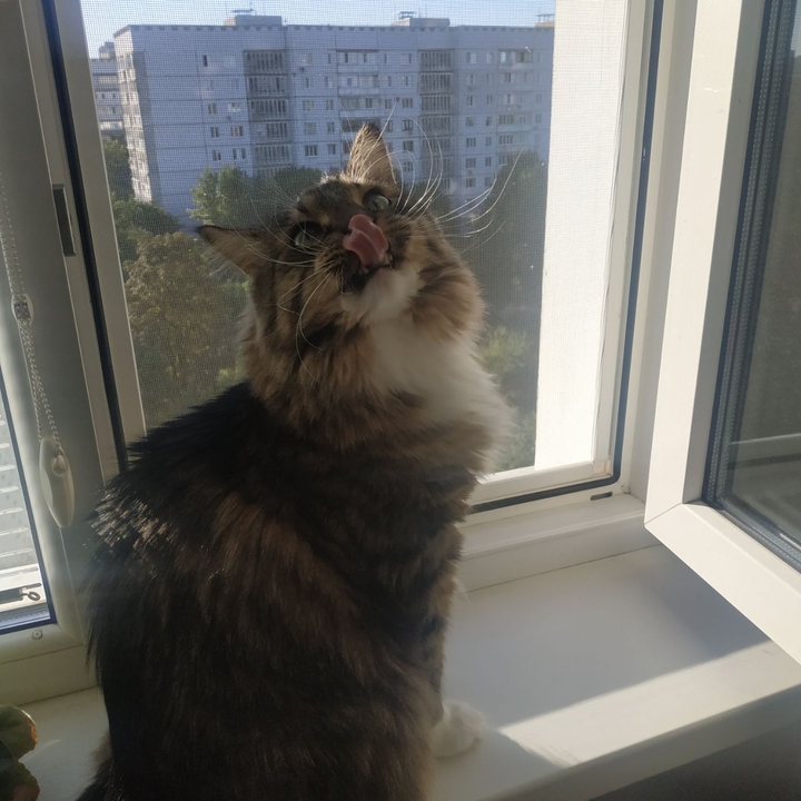 удачный момент