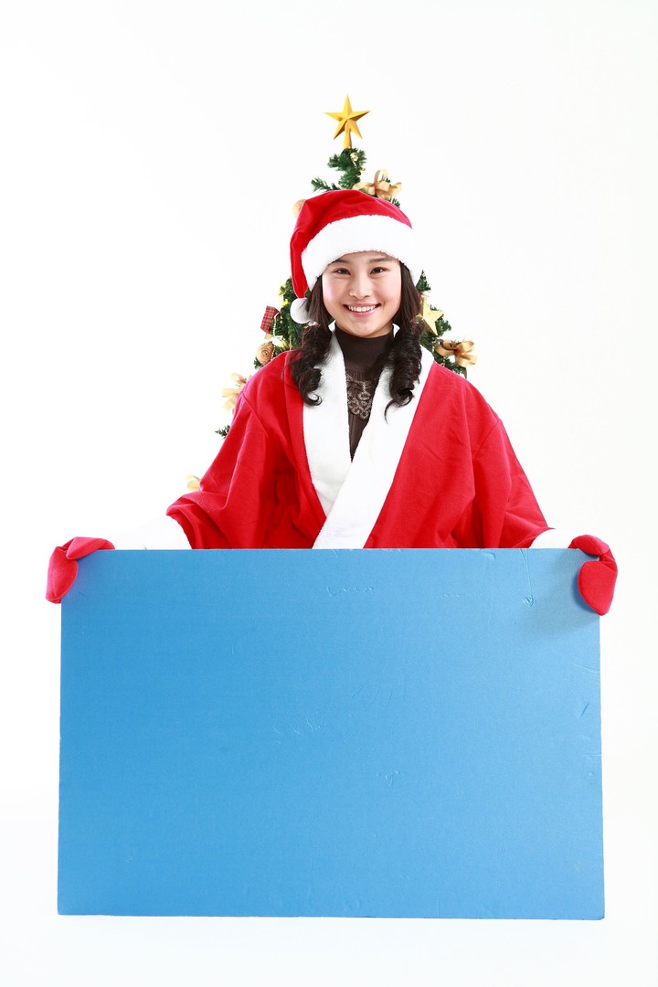 Christmas Costume
