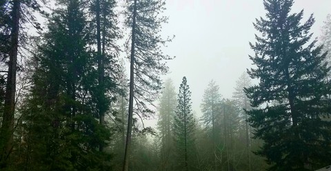 foggy