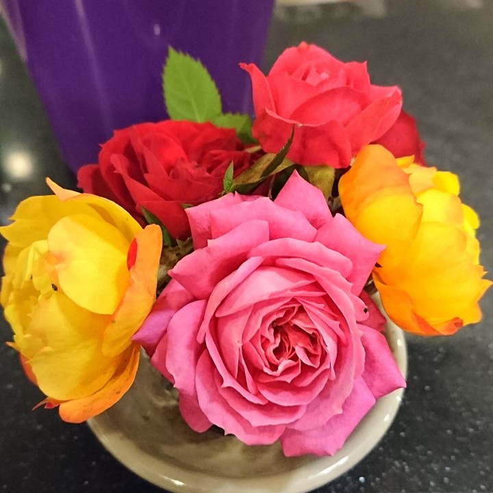 手心的薔薇