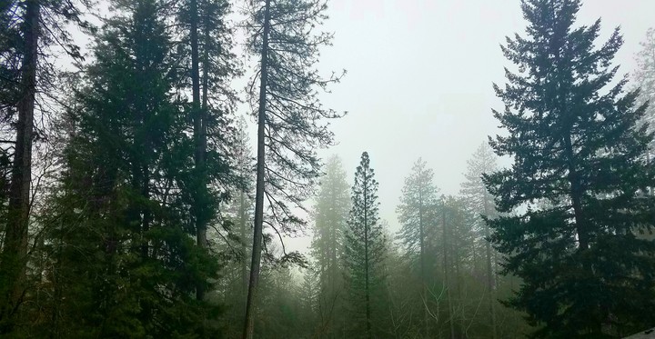 foggy