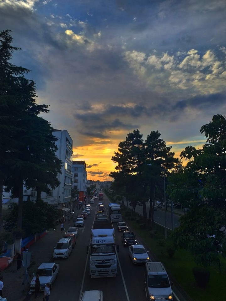 ordu