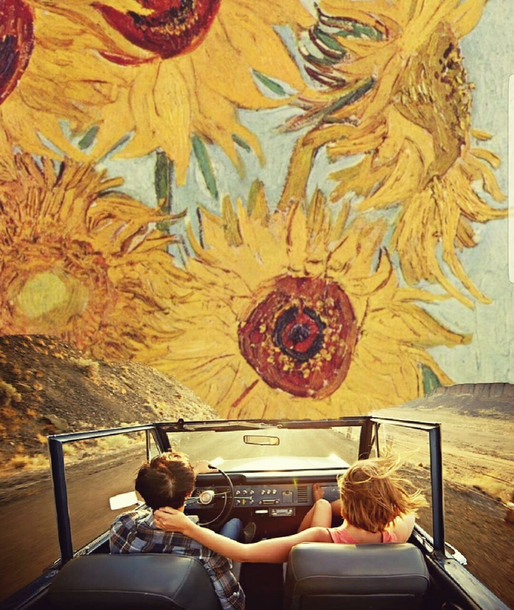 driving into the sunflowers