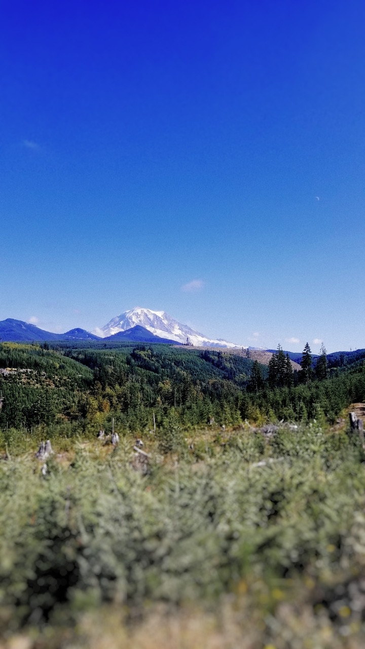 mountains in PNW