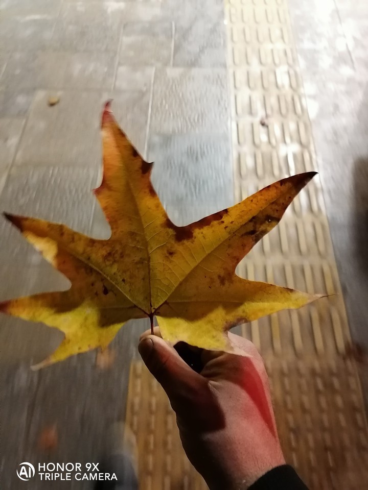 ???????