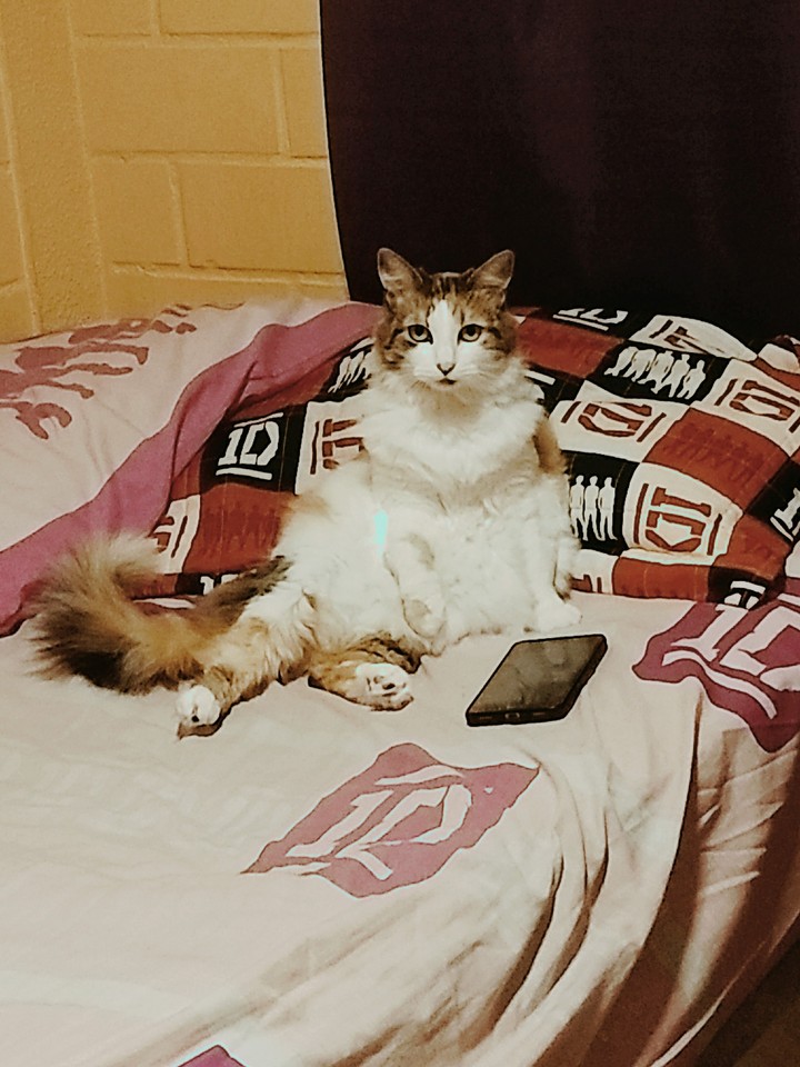 Carlita