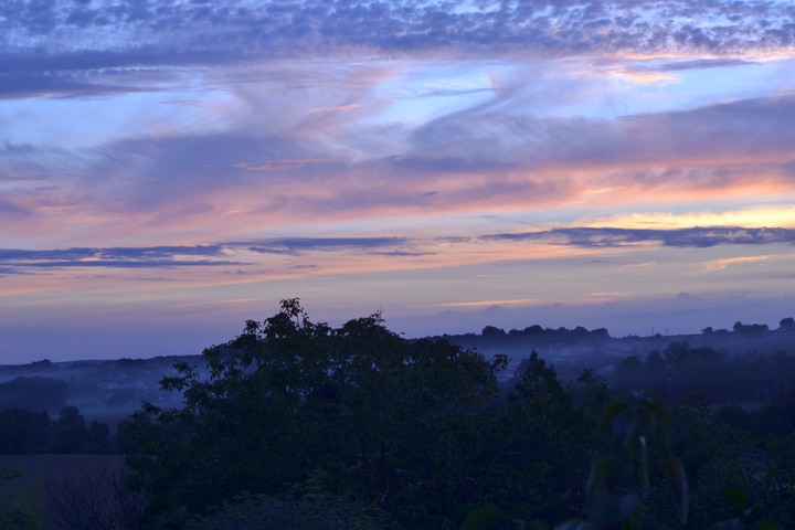 purple