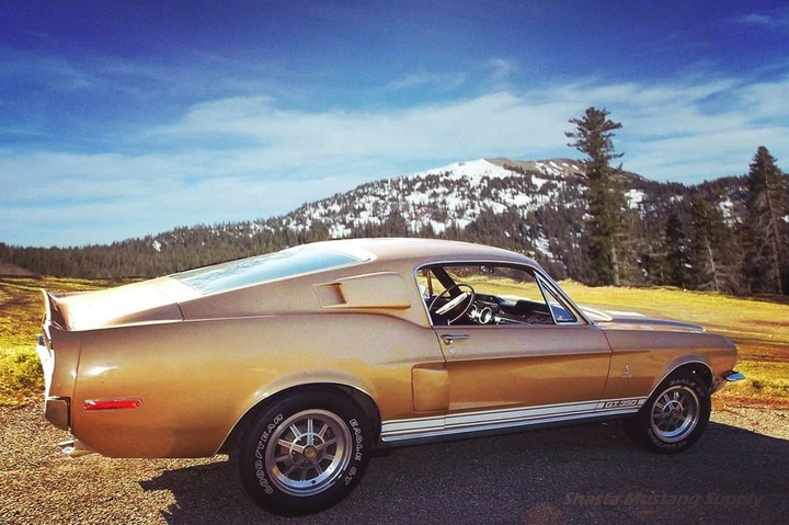 Ford Shelby Mustang GT Eleanor