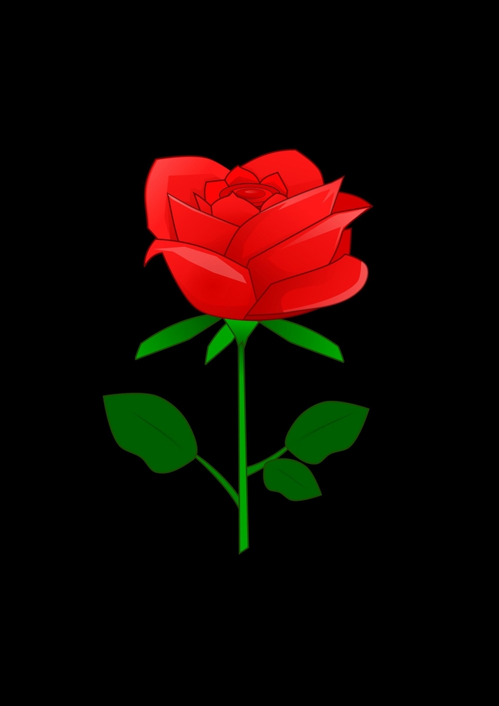 Lonely Red Rose!!