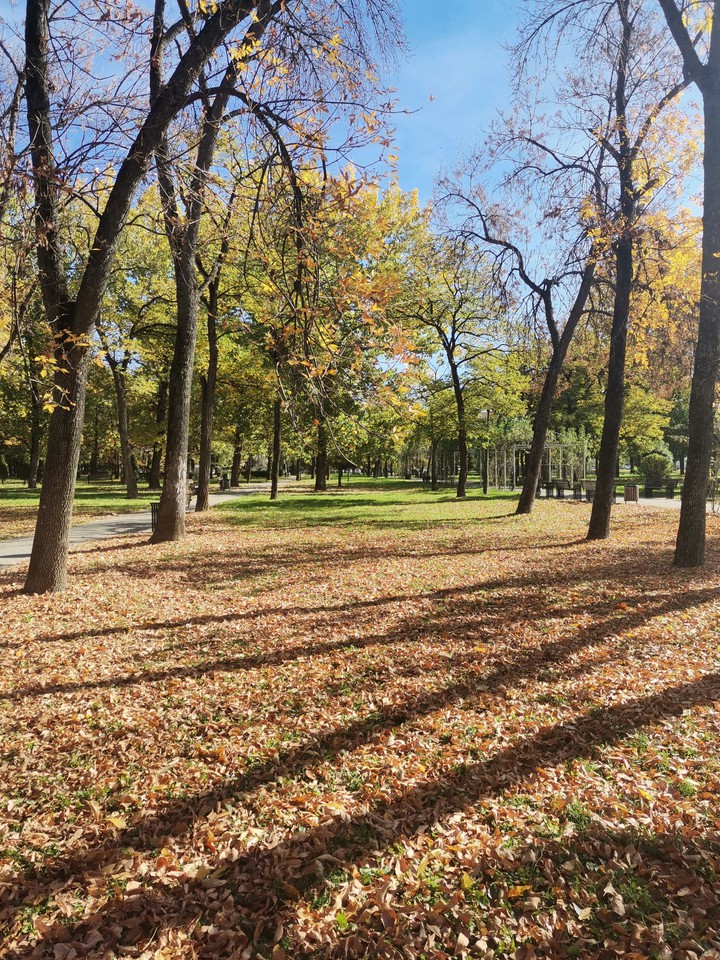 golden autumn