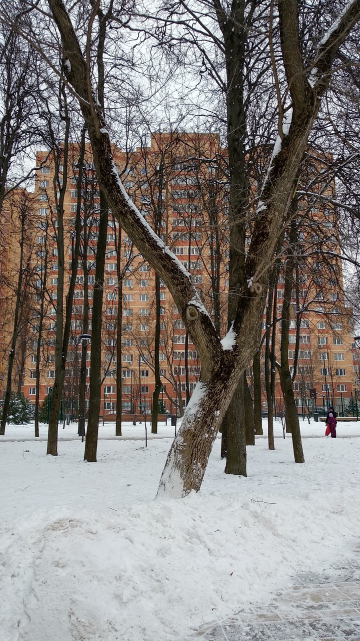 сквер