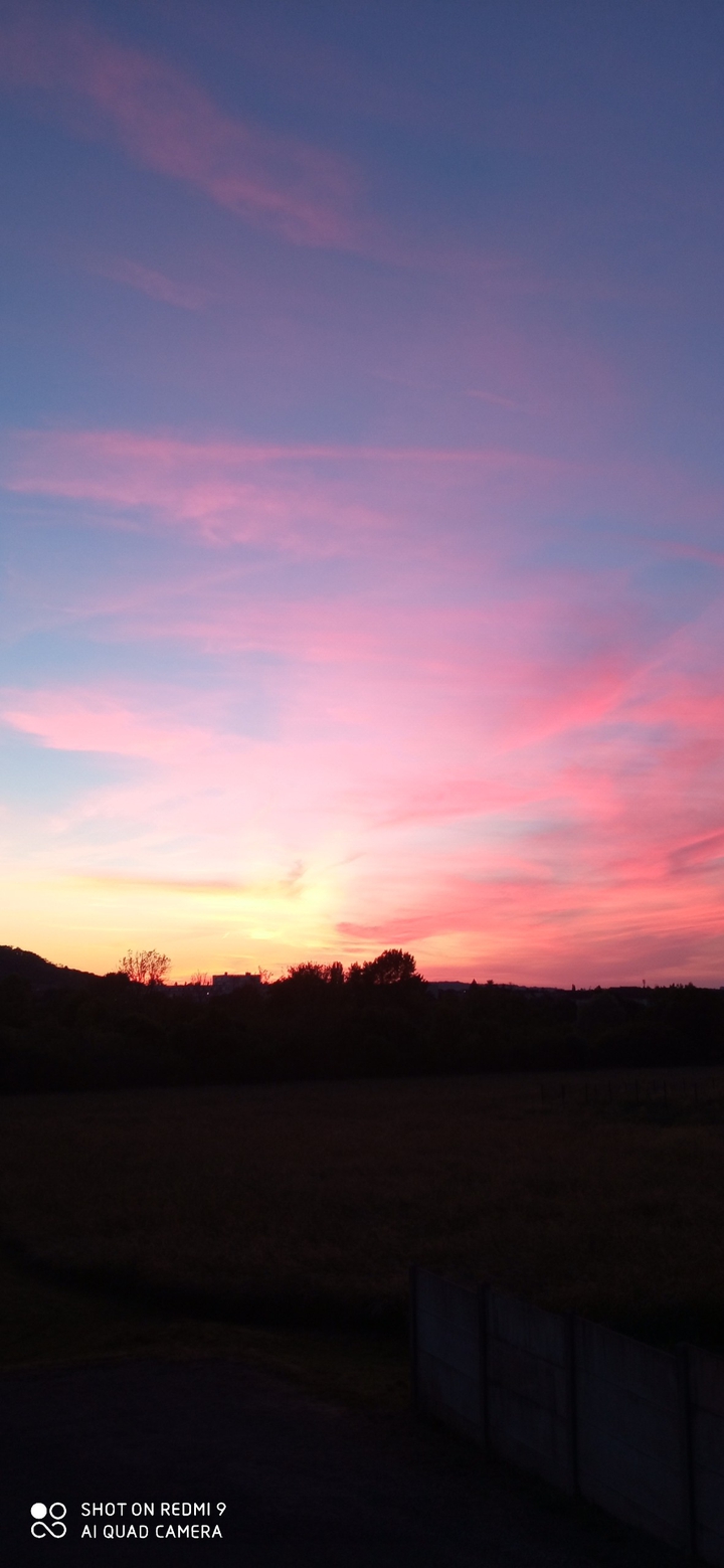 paysage