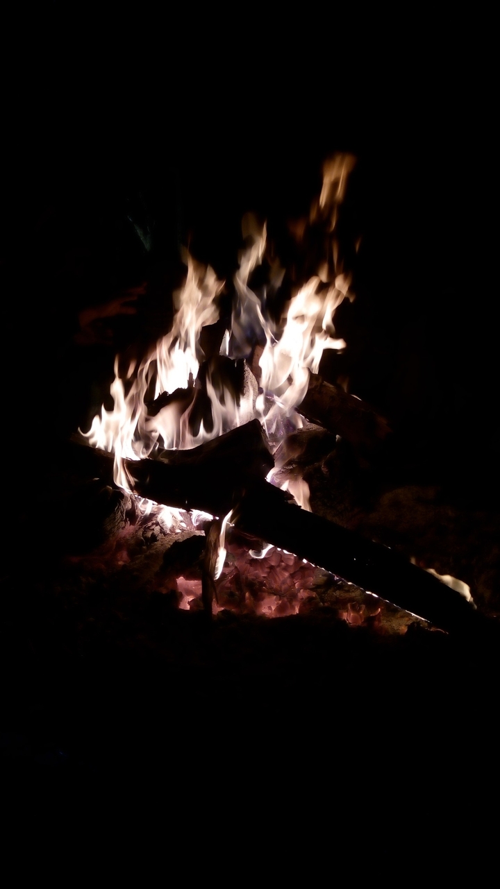bonfire