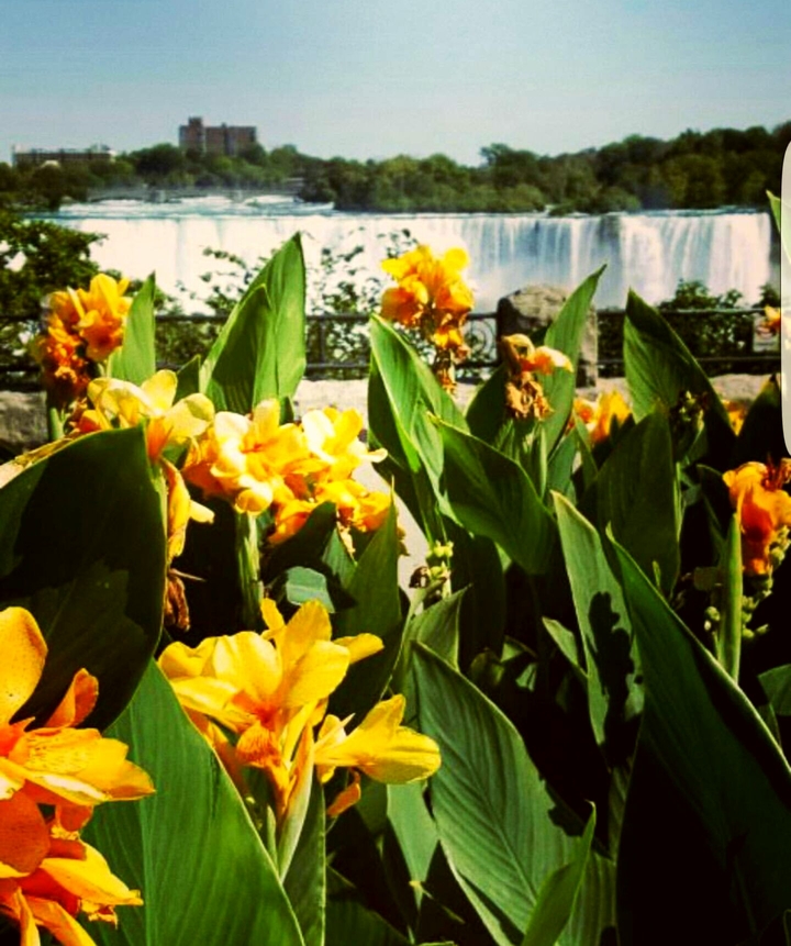 Niagara Falls, Ontario , CANADA