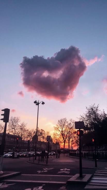 ¤¤¤