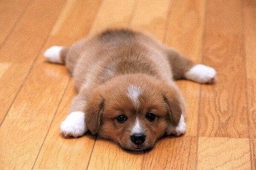 Am too tired