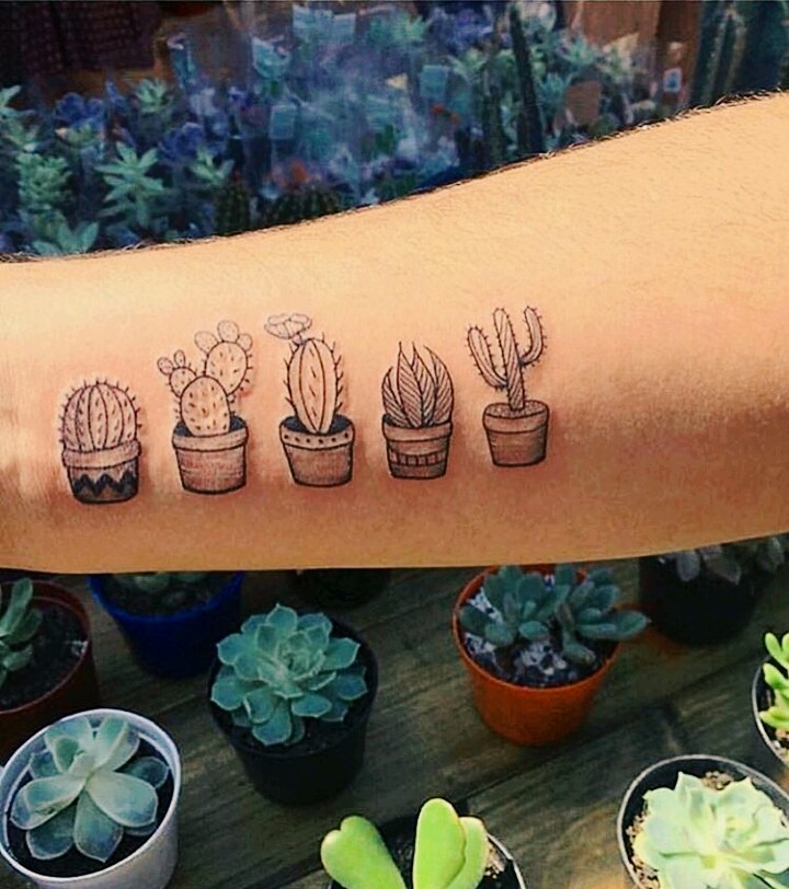 cactus