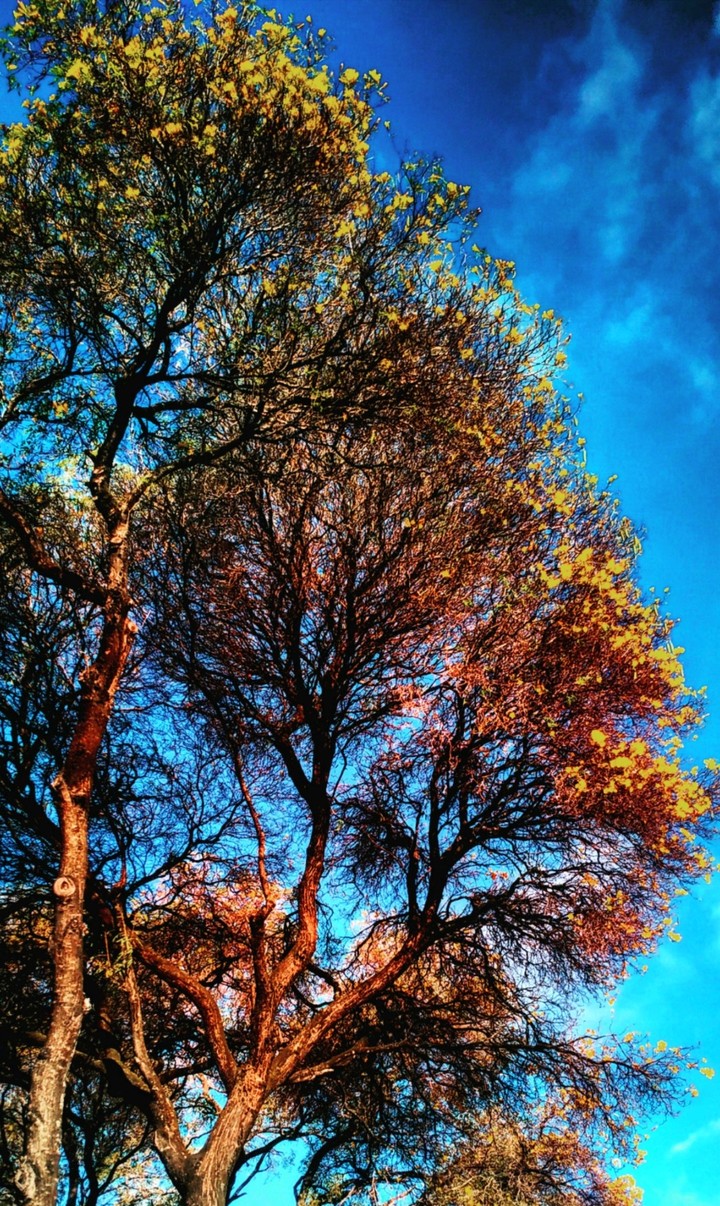 Nature