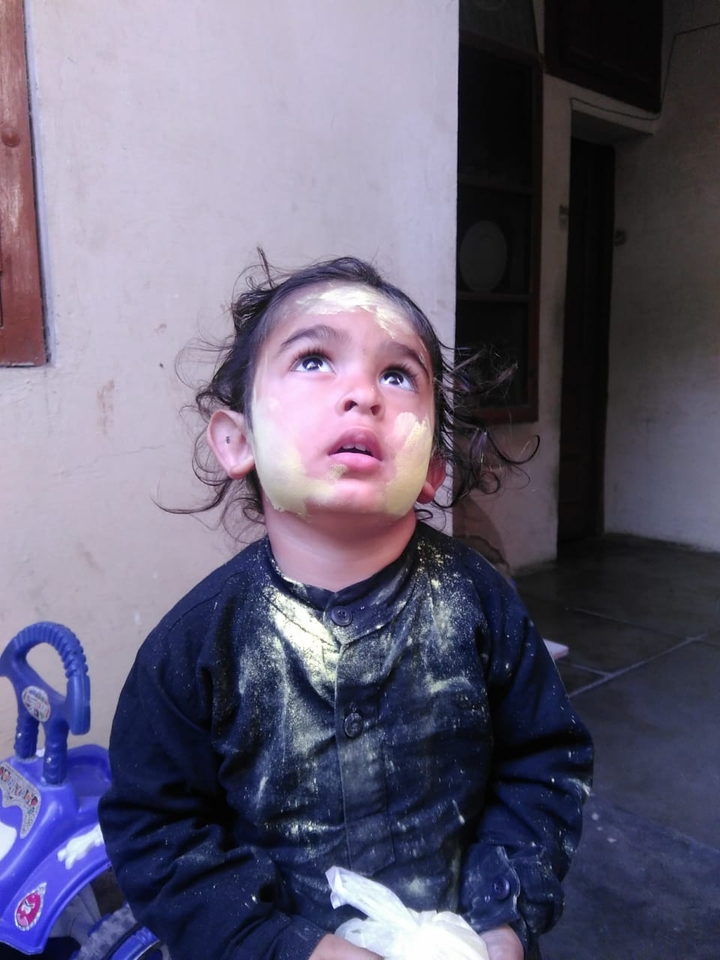 holi