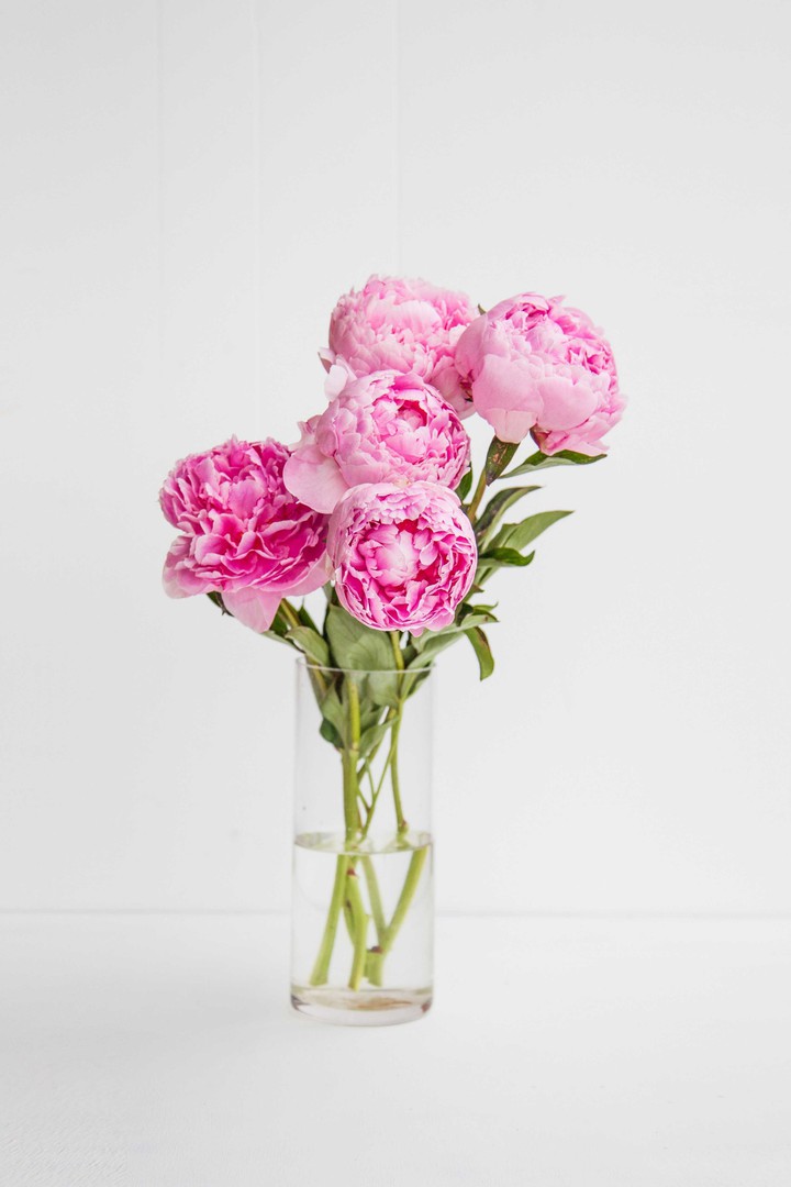 Pink Flowers :-)