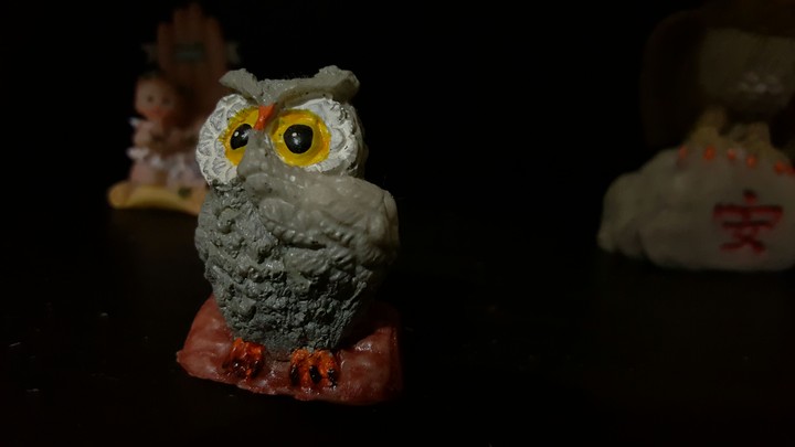 coruja